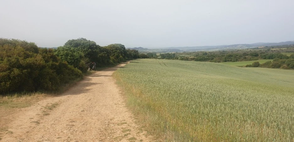 KakaoTalk_20220523_110253039_05.jpg?type=w1