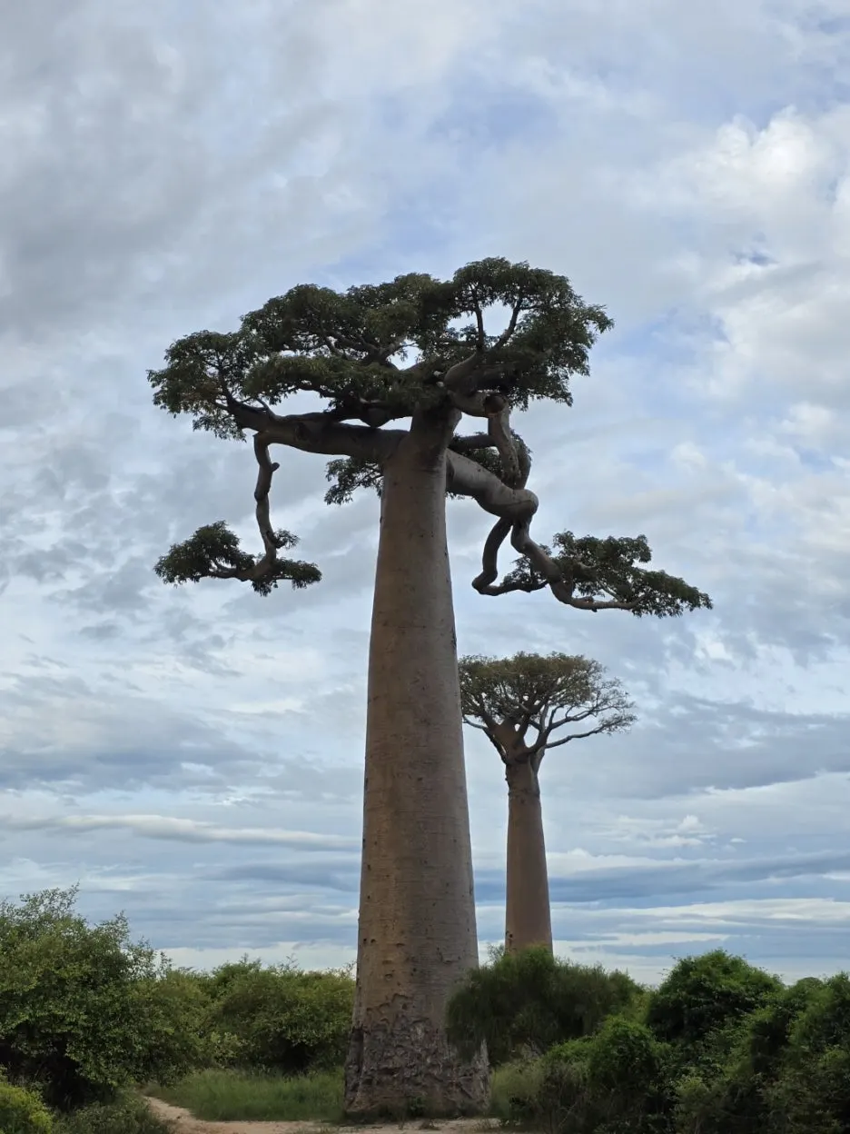 KakaoTalk_20250414_130307731_16.jpg?type=w1