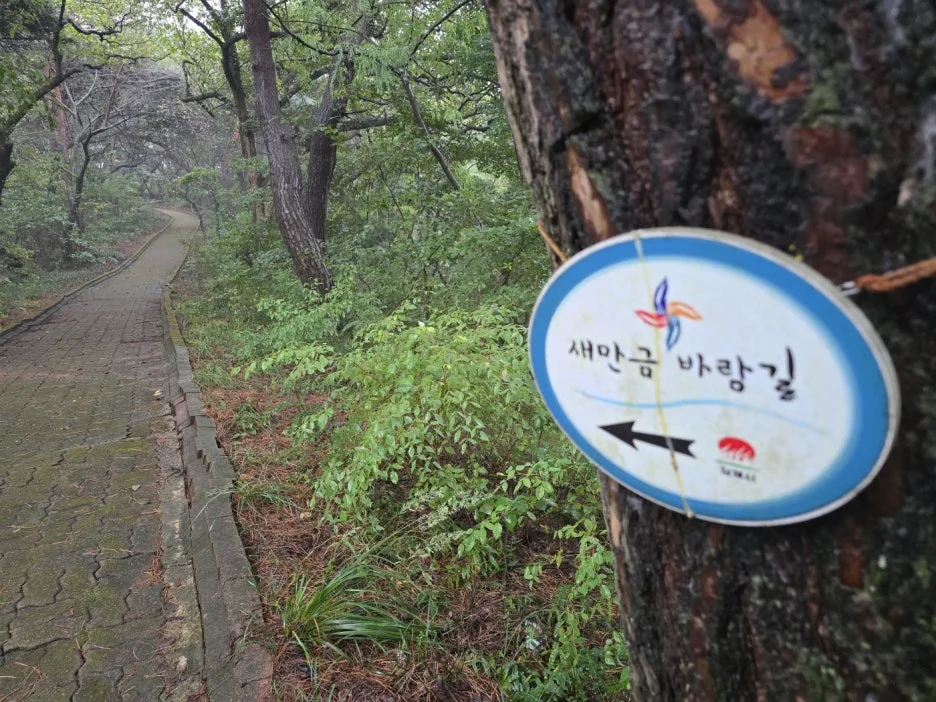 KakaoTalk_20241017_044845874.jpg?type=w1