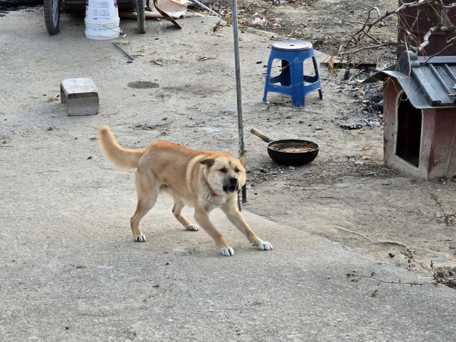 KakaoTalk_20241223_131706327_03.jpg?type=w1