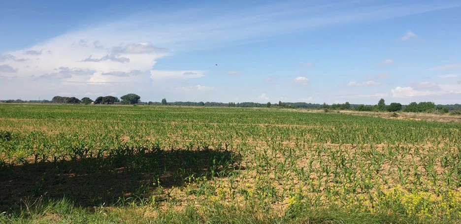 KakaoTalk_20220605_012004343_09.jpg?type=w1