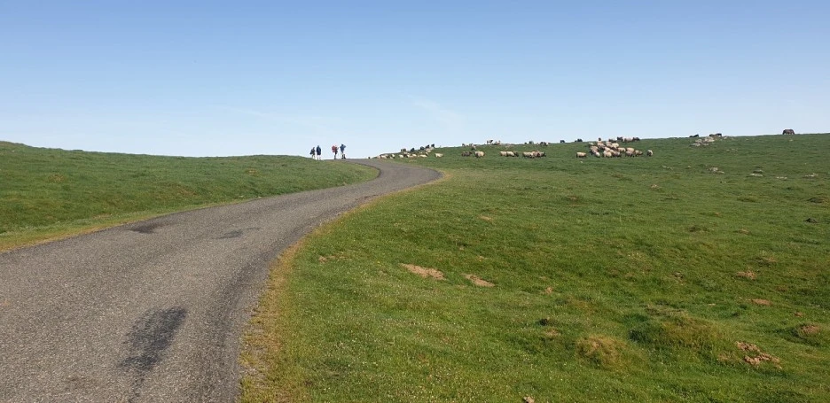 KakaoTalk_20220520_230446176_08.jpg?type=w1