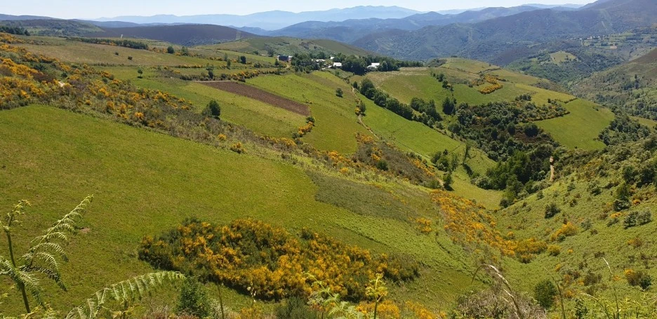 KakaoTalk_20220610_013541935_09.jpg?type=w1