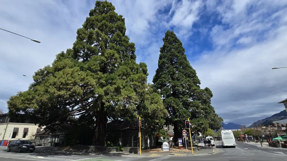 KakaoTalk_20251102_131750646_08.jpg?type=w1