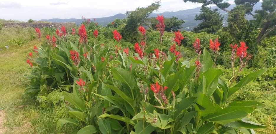 KakaoTalk_20220831_114950004_01.jpg?type=w1