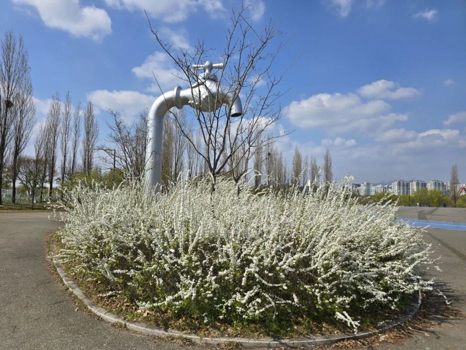 KakaoTalk_20250427_085357738_02.jpg?type=w1