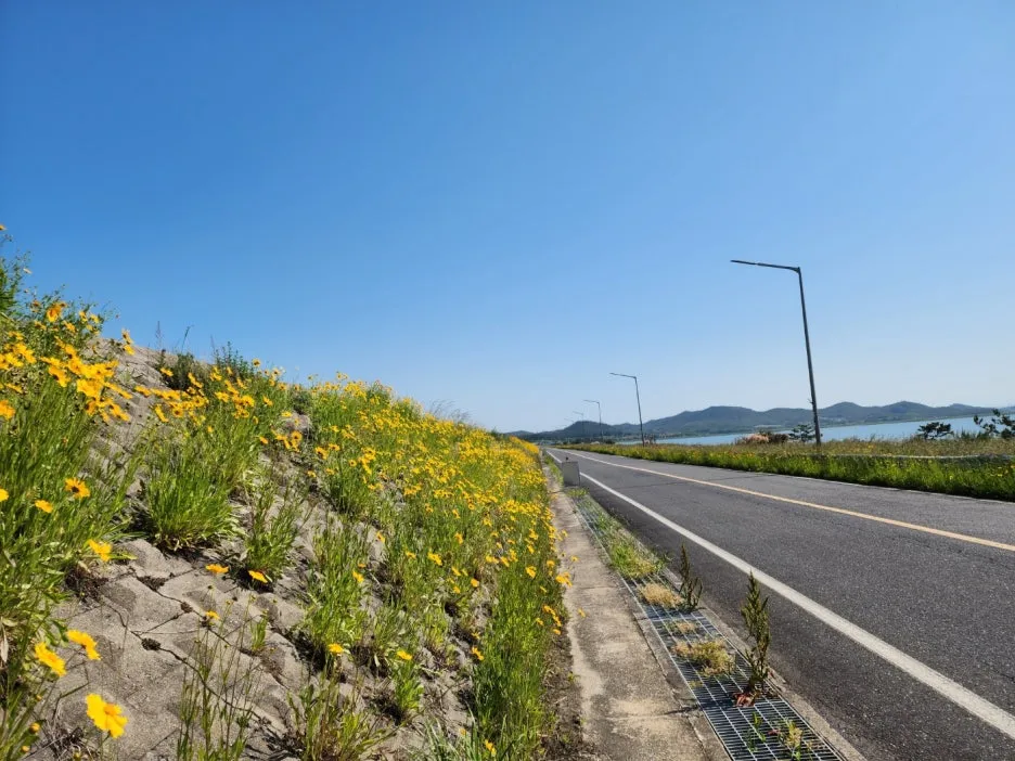 KakaoTalk_20240517_001534096_11.jpg?type=w1