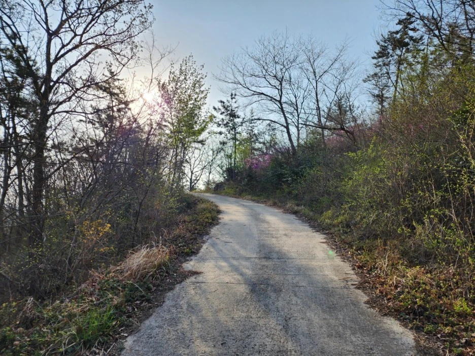 KakaoTalk_20230402_050707846_02.jpg?type=w1