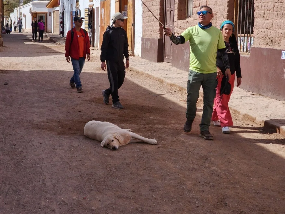 KakaoTalk_20240722_045457867_02.jpg?type=w1