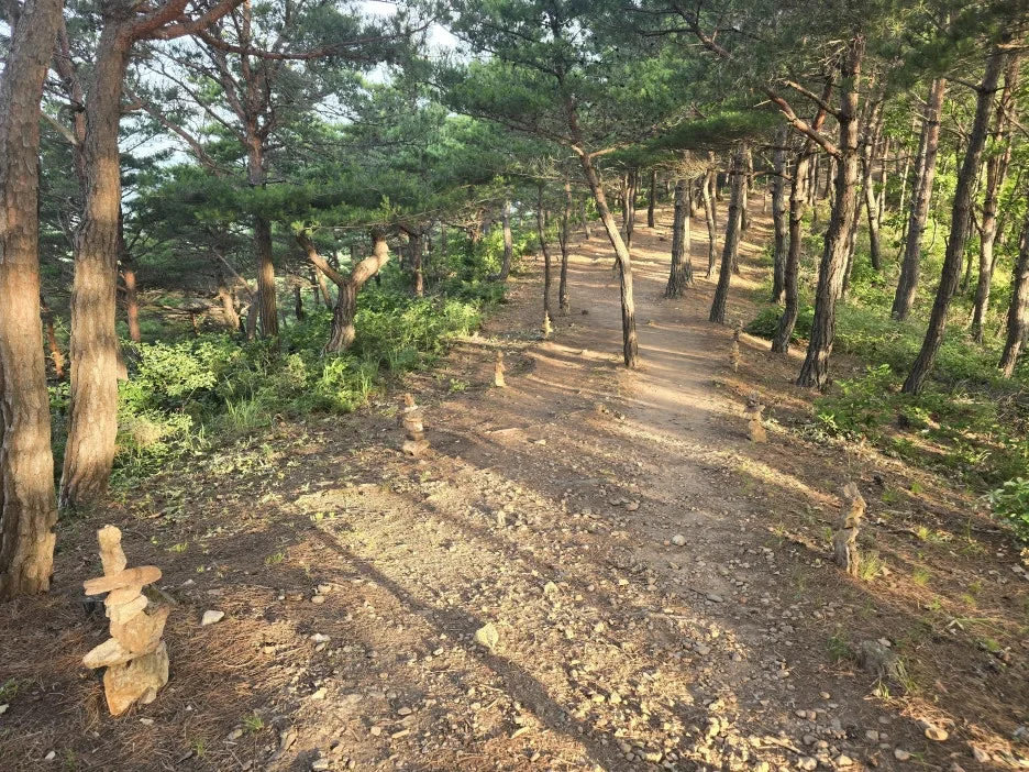 KakaoTalk_20250624_153636444_12.jpg?type=w1