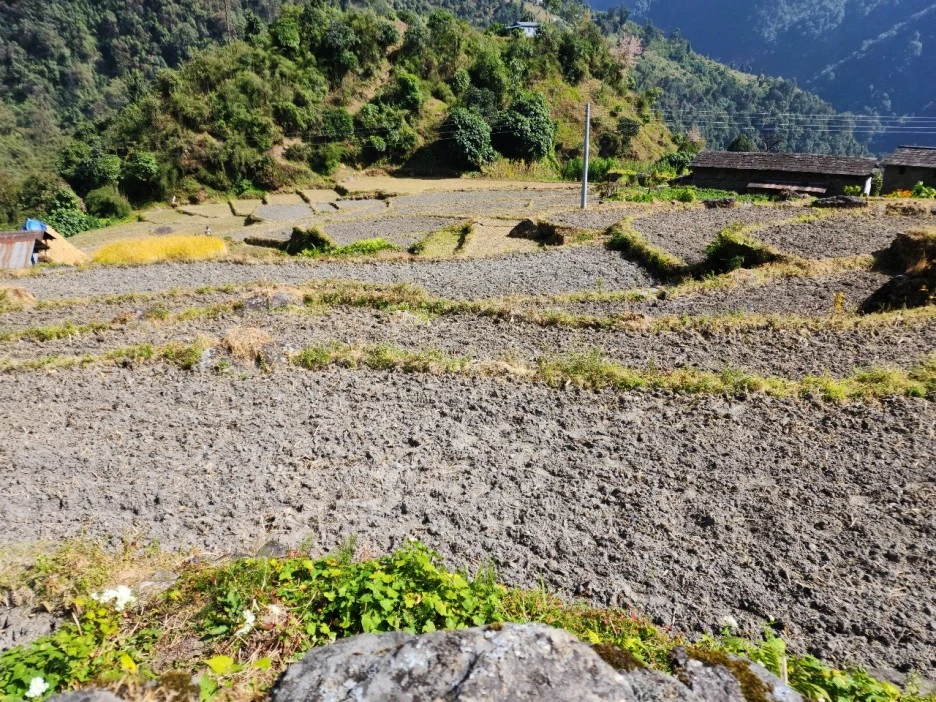 KakaoTalk_20221117_073228420_03.jpg?type=w1