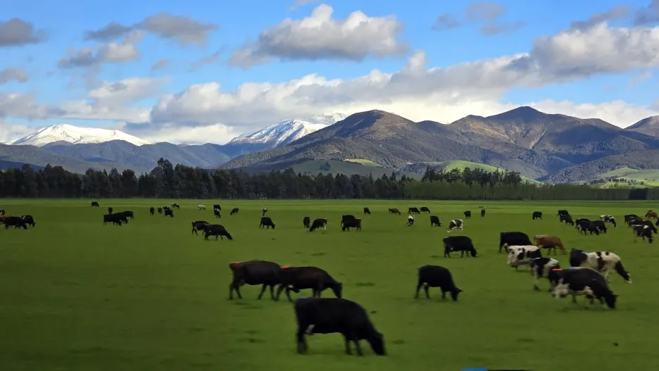 KakaoTalk_20251102_124847318_03.jpg?type=w1