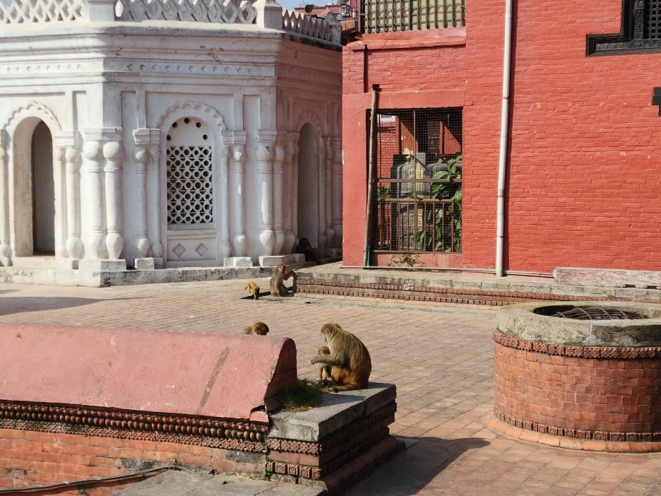 KakaoTalk_20221123_122842938_04.jpg?type=w1