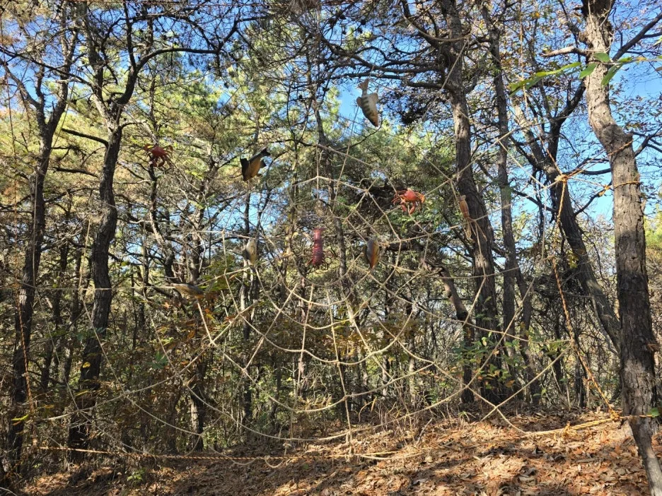 KakaoTalk_20241119_051244597_16.jpg?type=w1