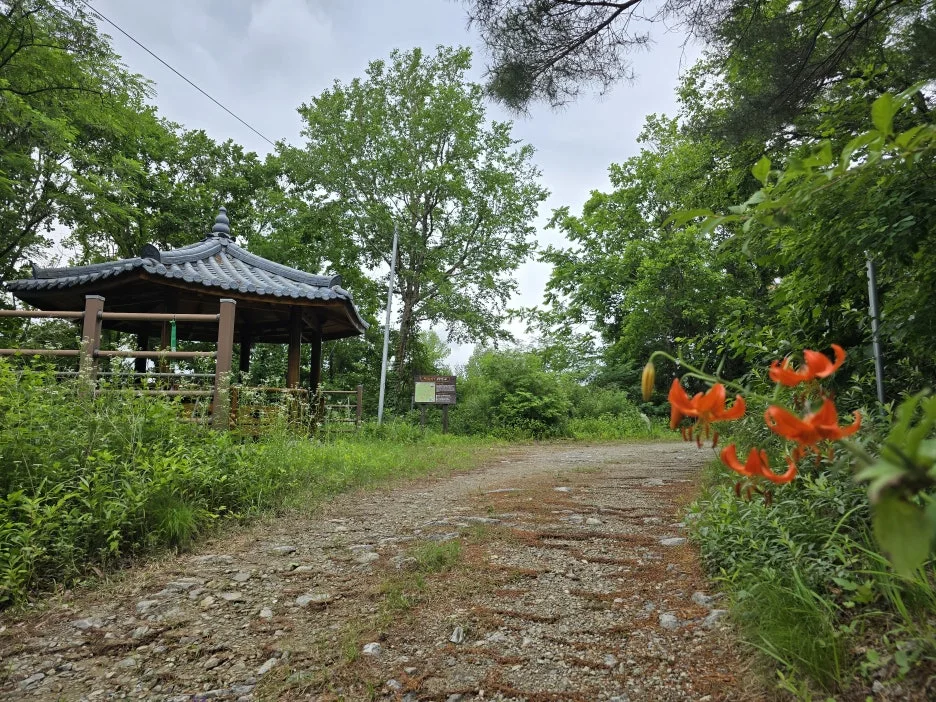 KakaoTalk_20250622_033408426_02.jpg?type=w1