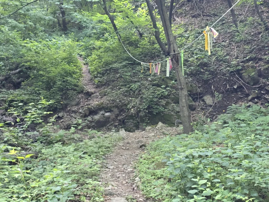 KakaoTalk_20250623_164743987_15.jpg?type=w1