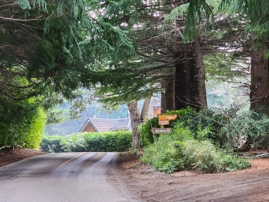 KakaoTalk_20240801_065356008_04.jpg?type=w1