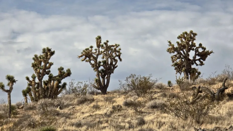 KakaoTalk_20250818_065906819_01.jpg?type=w1