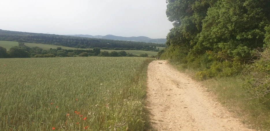 KakaoTalk_20220523_110253039_06.jpg?type=w1