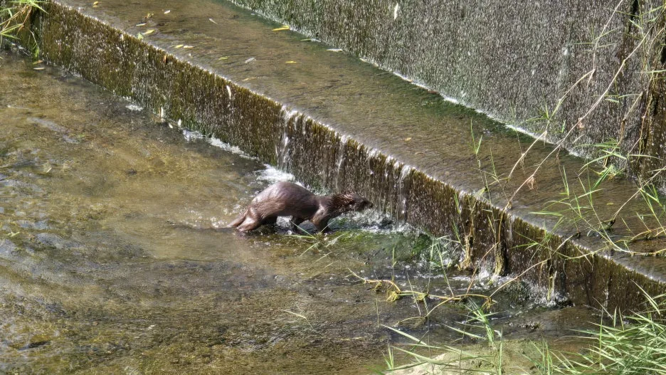 KakaoTalk_20251209_171330212.jpg?type=w1