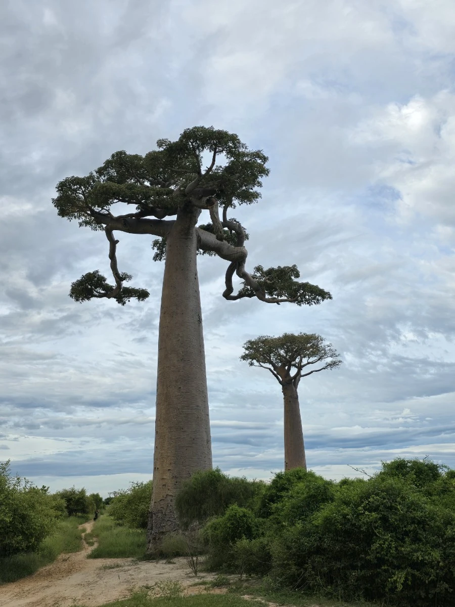 KakaoTalk_20250313_021335192_09.jpg?type=w1