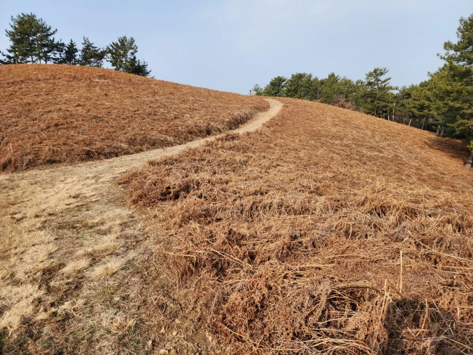 KakaoTalk_20230220_054046906_08.jpg?type=w1