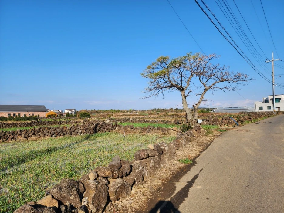 KakaoTalk_20221227_053634383_09.jpg?type=w1