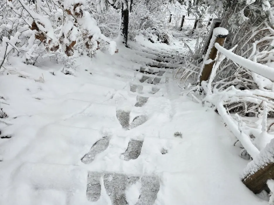 KakaoTalk_20241129_050938052_16.jpg?type=w1