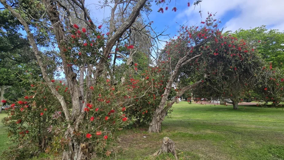 KakaoTalk_20251115_075343906_22.jpg?type=w1