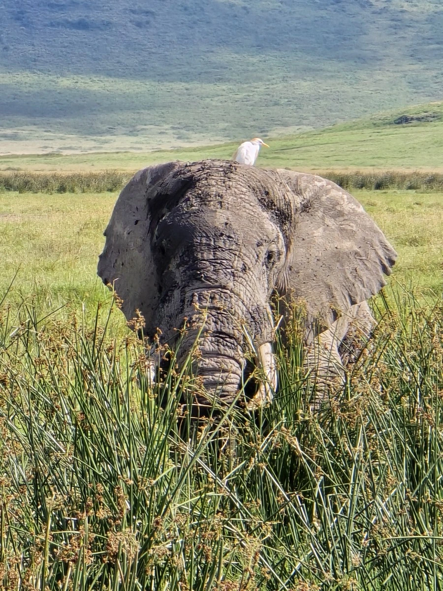 KakaoTalk_20250405_153555823_20.jpg?type=w1