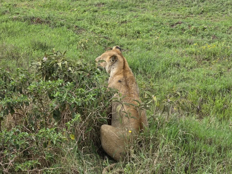 KakaoTalk_20250405_153555823_26.jpg?type=w1