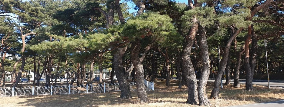 SE-dd867542-c9b0-4fbb-8539-9f35d9fb5f0d.jpg?type=w1