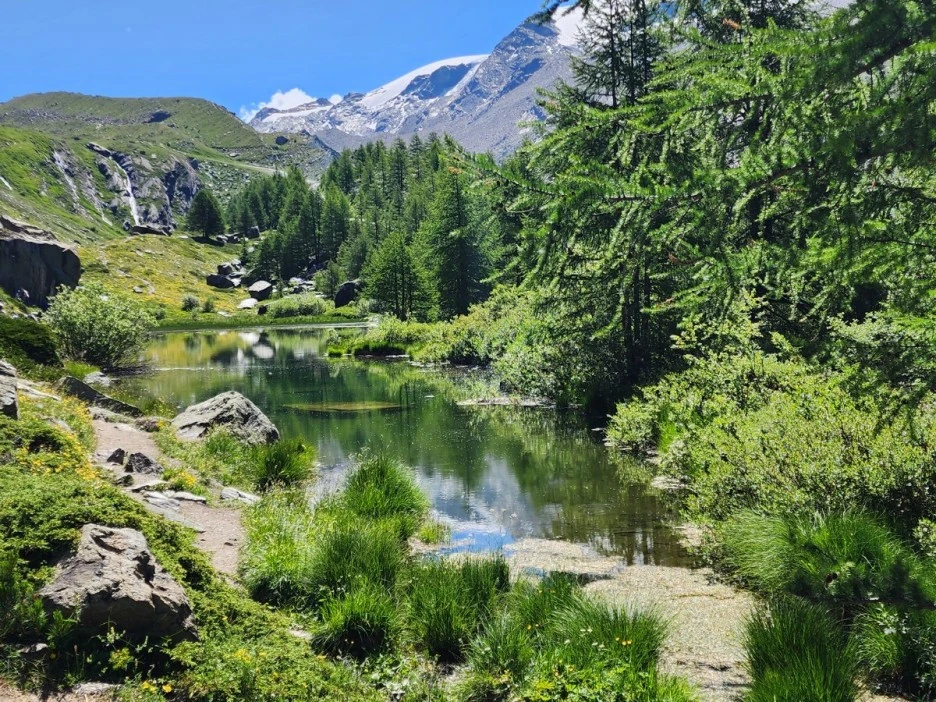 KakaoTalk_20230712_021512640_11.jpg?type=w1