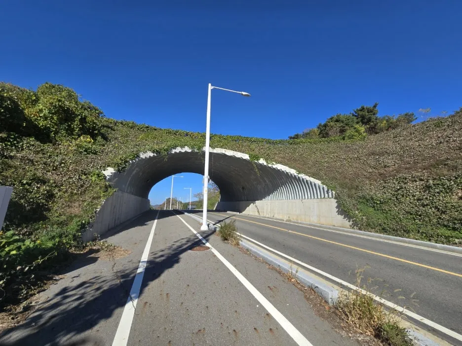 KakaoTalk_20241122_202414998_28.jpg?type=w1