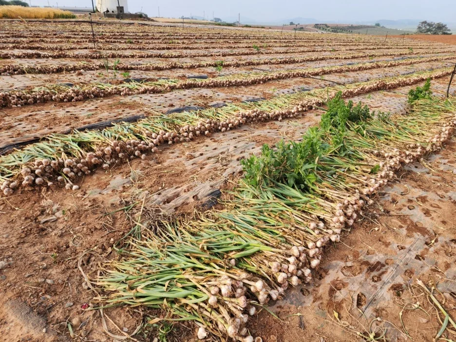 KakaoTalk_20240522_154457657_04.jpg?type=w1