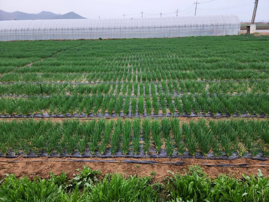 KakaoTalk_20230326_170927245_03.jpg?type=w1