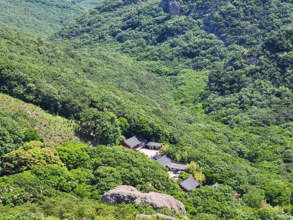 KakaoTalk_20240602_164520524_16.jpg?type=w1