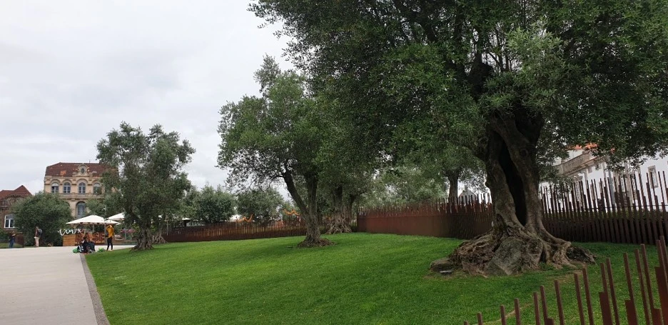 KakaoTalk_20220624_025722235_06.jpg?type=w1