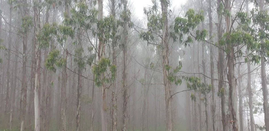 KakaoTalk_20220612_223542386_04.jpg?type=w1