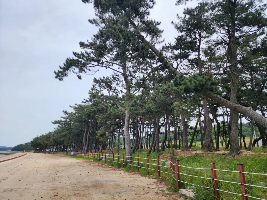 KakaoTalk_20240527_172250853_18.jpg?type=w1