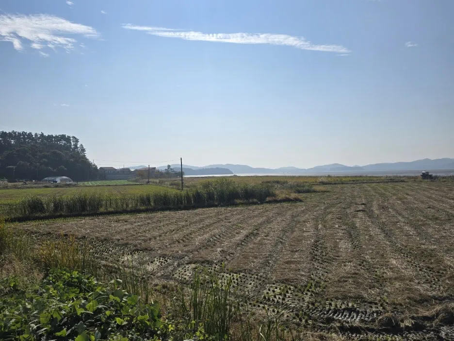 KakaoTalk_20241102_064540914_22.jpg?type=w1