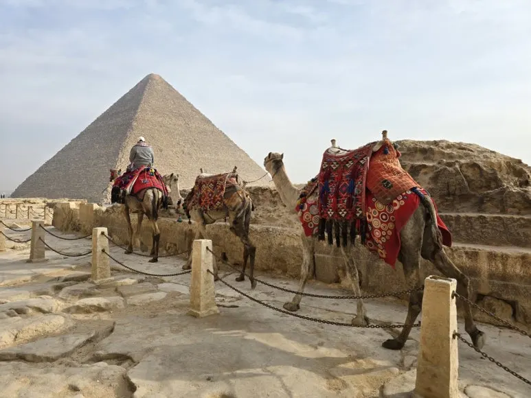 KakaoTalk_20250223_004108154_09.jpg?type=w773