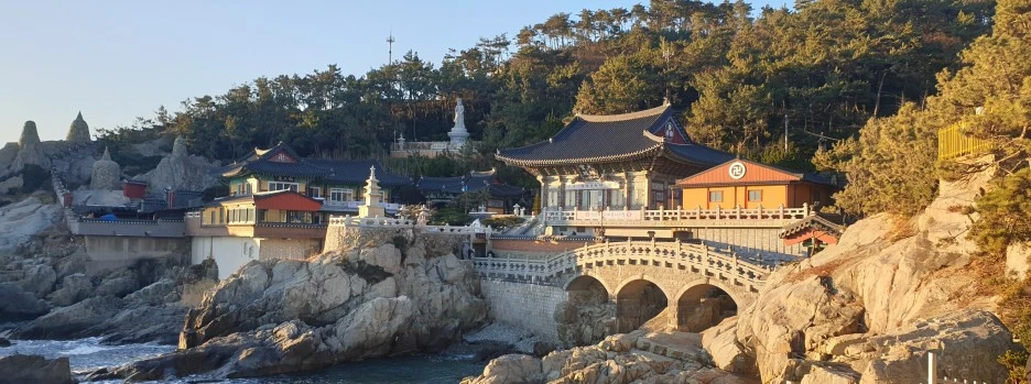 SE-cd1ff403-3cd6-4f71-9d93-bcd1dfd7a228.jpg?type=w1