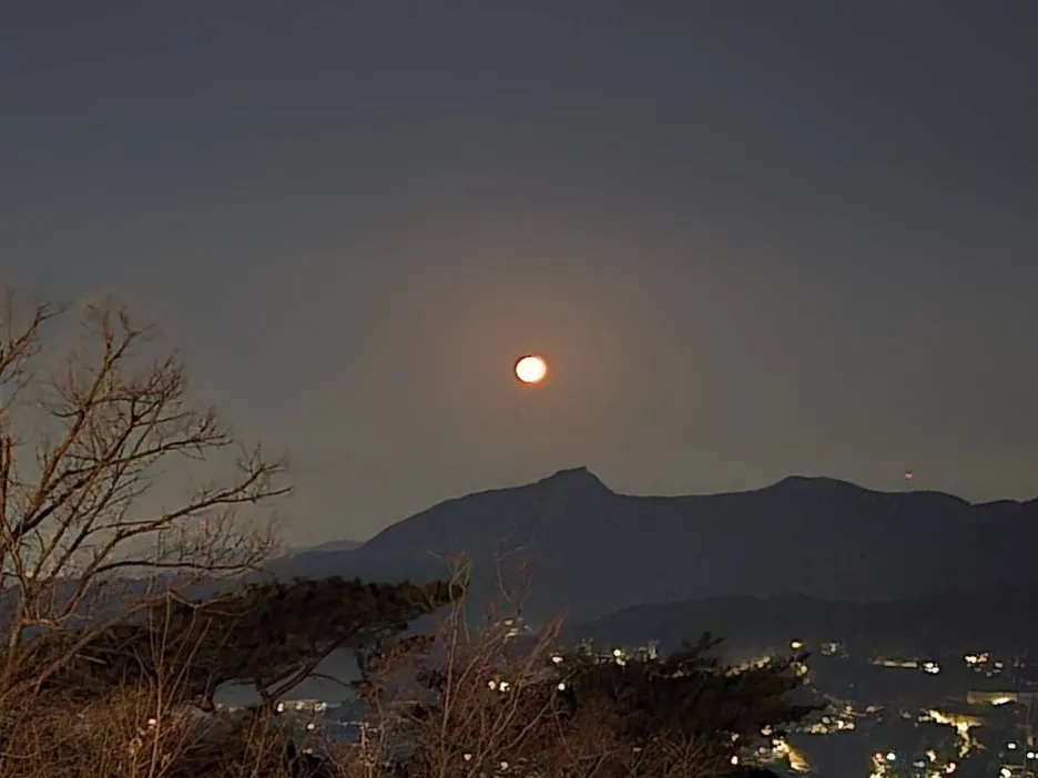 KakaoTalk_20250216_041924552_10.jpg?type=w1