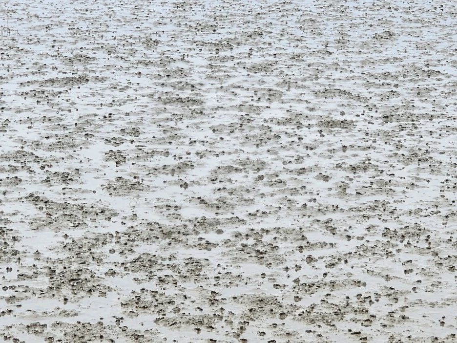 KakaoTalk_20230324_023416967_18.jpg?type=w1