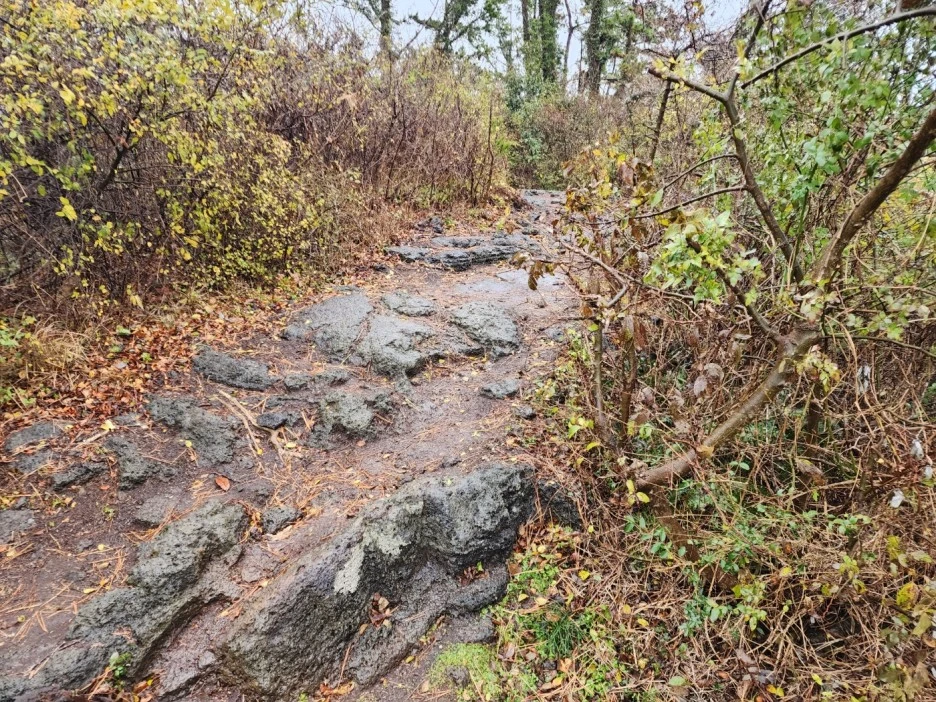 KakaoTalk_20221227_233016012_04.jpg?type=w1