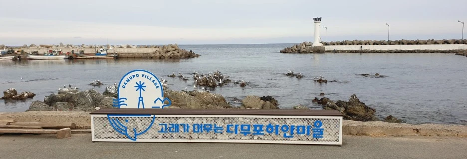 SE-7fb523bd-2ca3-4f2b-ba18-0038a6a86e46.jpg?type=w1