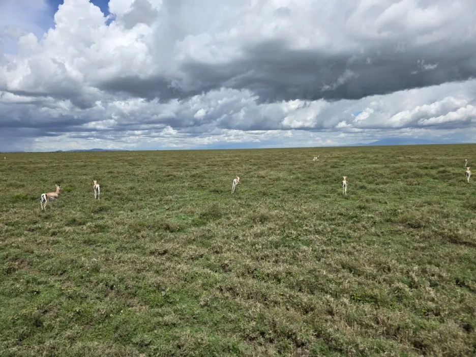 KakaoTalk_20250405_134443007_10.jpg?type=w1