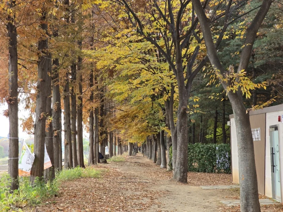 KakaoTalk_20241126_043530012_02.jpg?type=w1