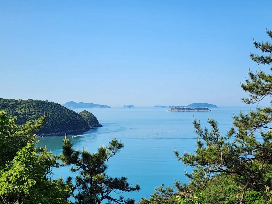 KakaoTalk_20240515_001430344_04.jpg?type=w1